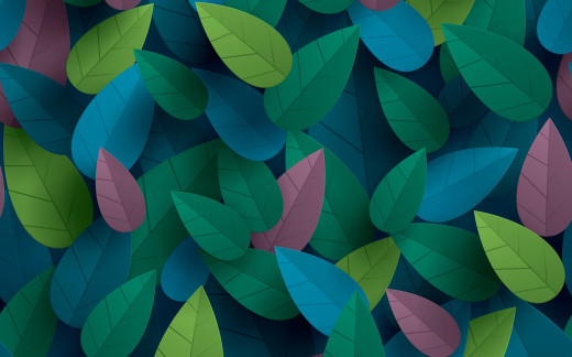 1016086 (a): :2500x1556